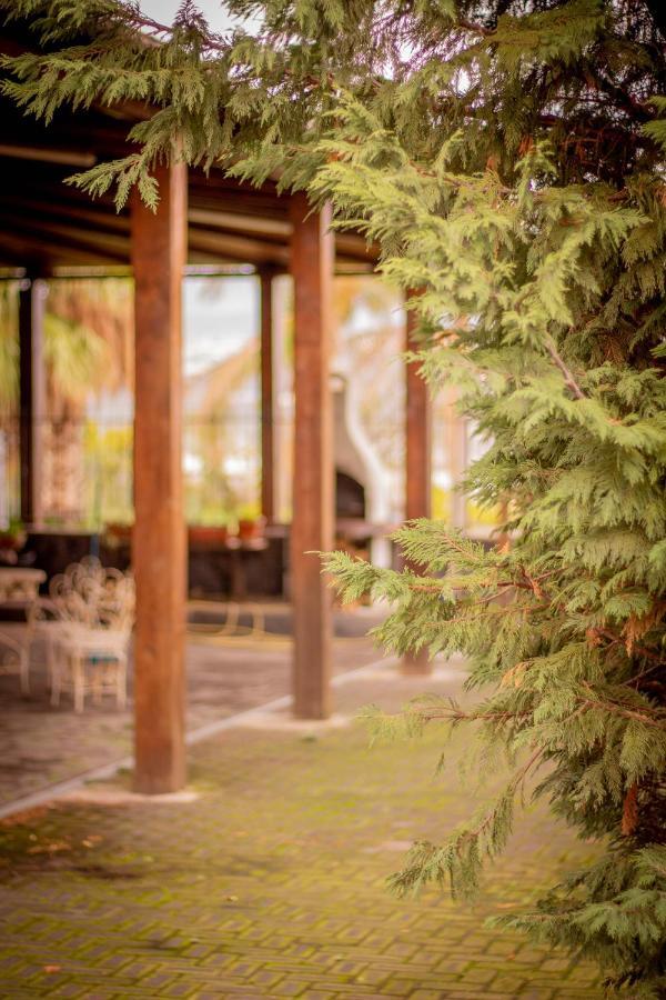 Bed And breakfast Kalinka Motta SantʼAnastasia Exterior foto